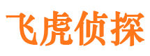 点军外遇调查取证